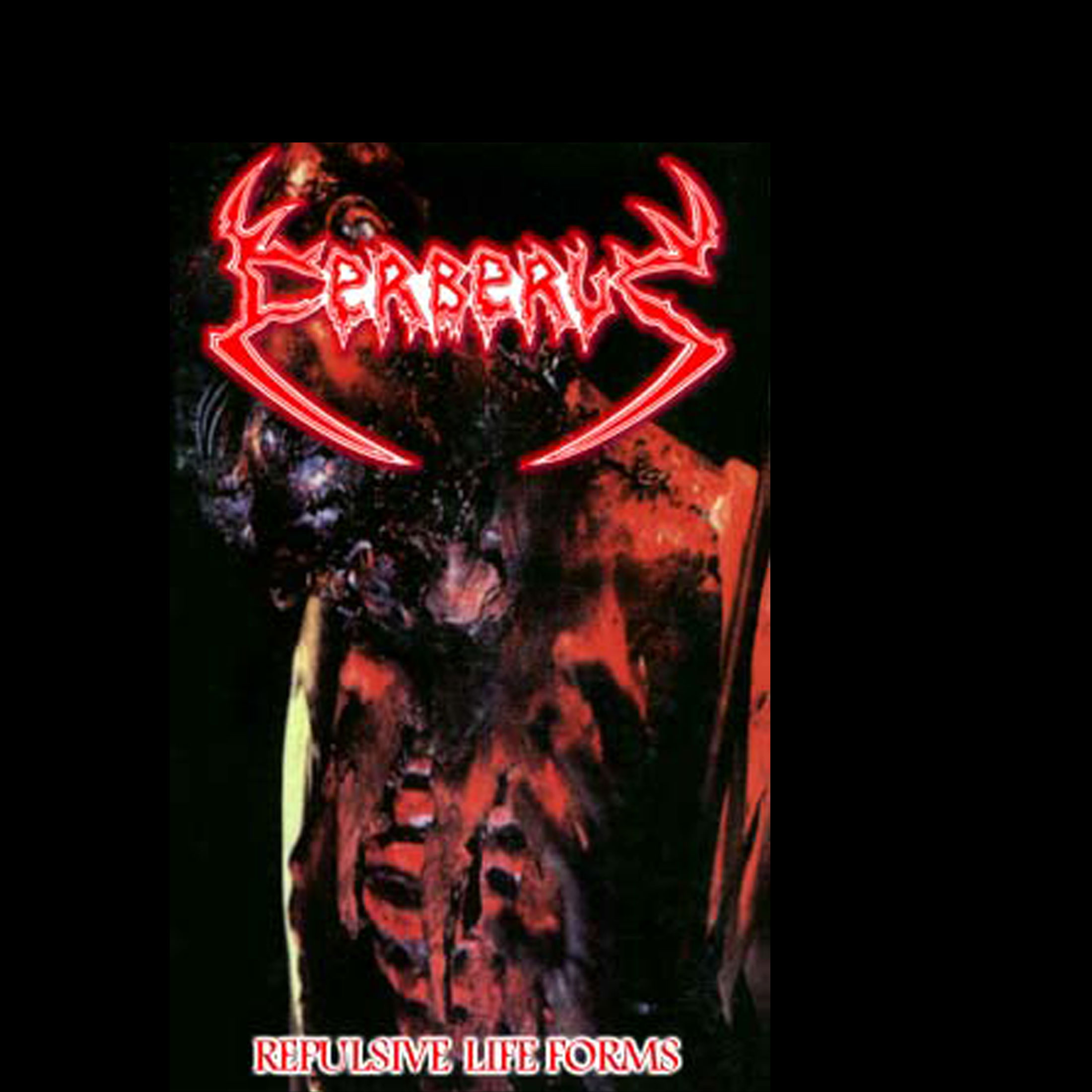 CERBERUS